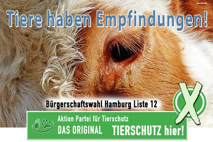 Bild: Tiere haben Empfindungen