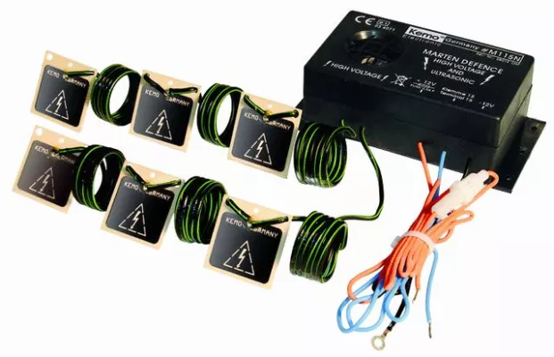 Bild: Marder im Auto – kein unabwendbares Schicksal