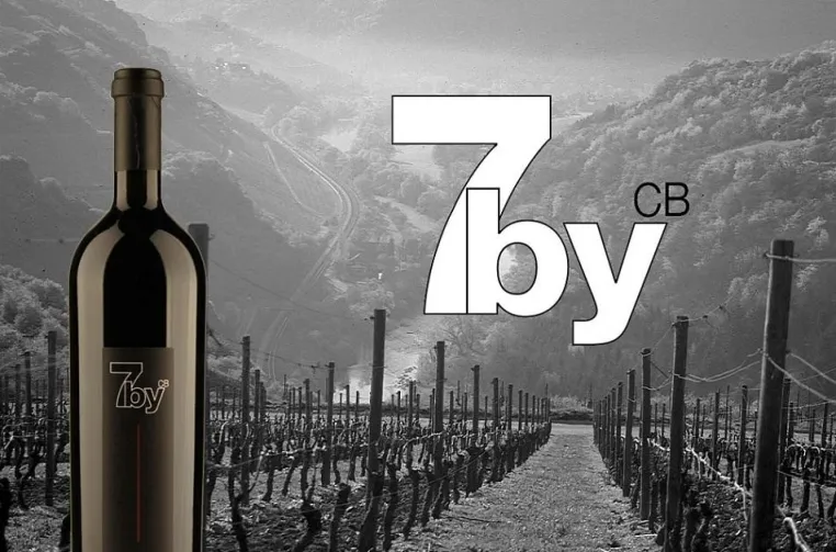 BELVINI.DE entdeckt neuen Spitzenwinzer – Gault Millau bestätigt Bild: BELVINI.DE entdeckt neuen Spitzenwinzer – Gault Millau bestätigt