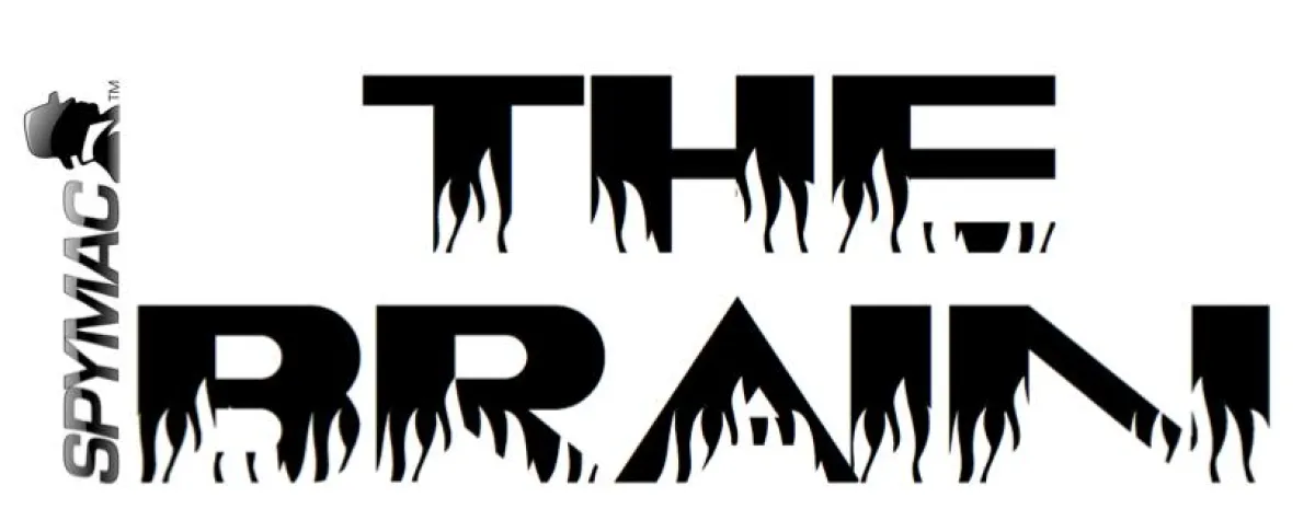 „THE BRAIN«