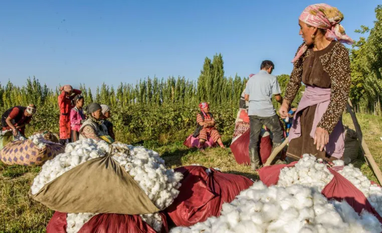 Kirgistans Landwirtschaft bis 2028 zu 100% ökologisch Bild: Kirgistans Landwirtschaft bis 2028 zu 100% ökologisch
