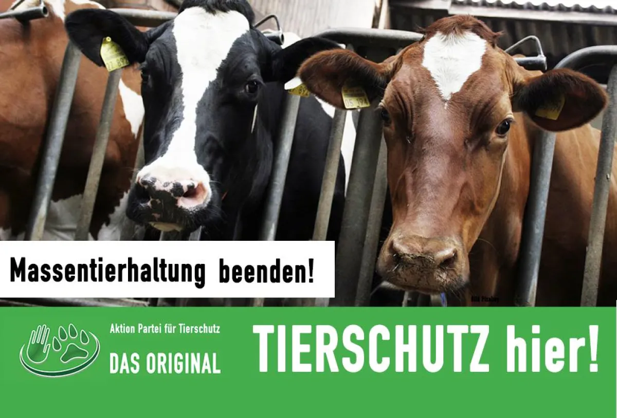 Massentierhaltung beenden!