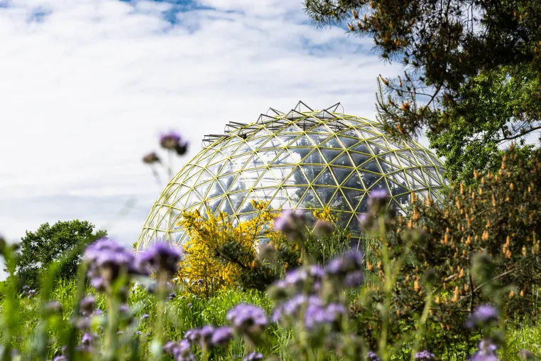 Bild: Blüten an allen Orten - Botanischer Garten der HHU im Mai