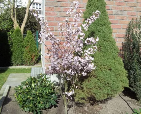 Bild: Privatoffenbarungen und Kirche