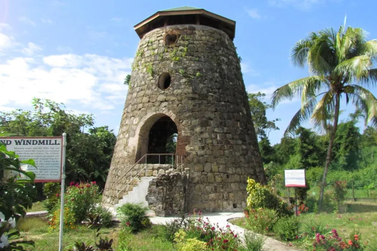Bild: Historische Perlen in Guyanas Regenwald