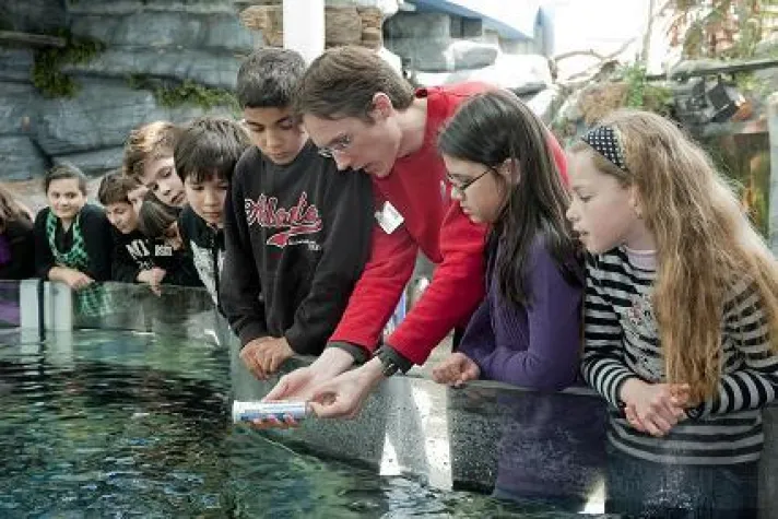 Bild: Alles klar?! – Sea Life München ruft auf zum großen Wasserschulprojekt