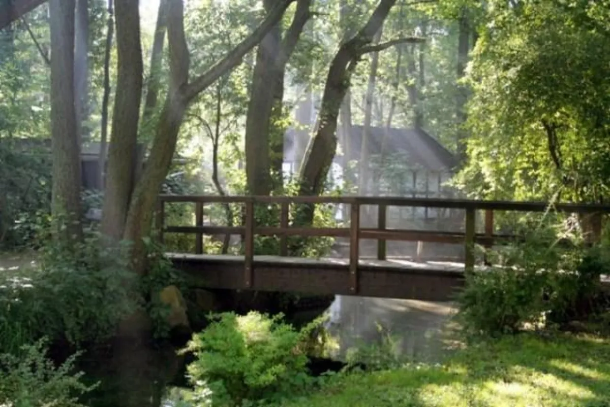 Herbstwanderung auf der Sauerland-Waldroute