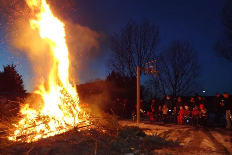 Bild: Abschied von Weihnachtsbäumen in Renneritz