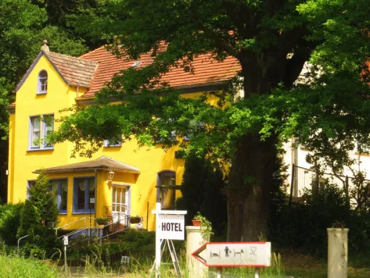Bild: Gesucht: Der hundefreundlichste Arbeitgeber Deutschlands