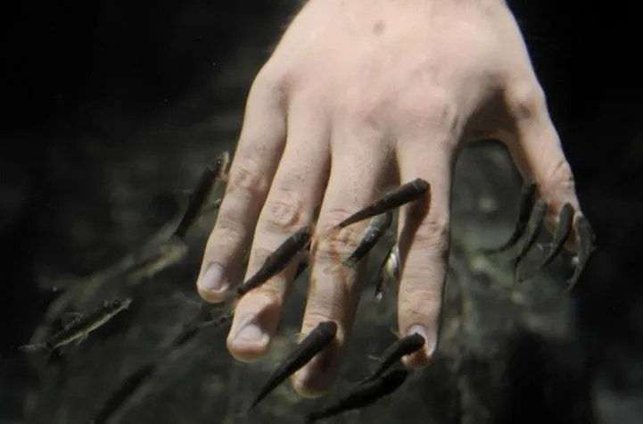 Bild: Sea Life Königswinter macht schön – Babyhaut durch Knabberfische