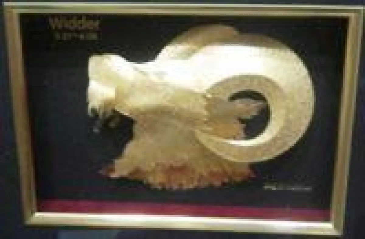 Goldhoroskop