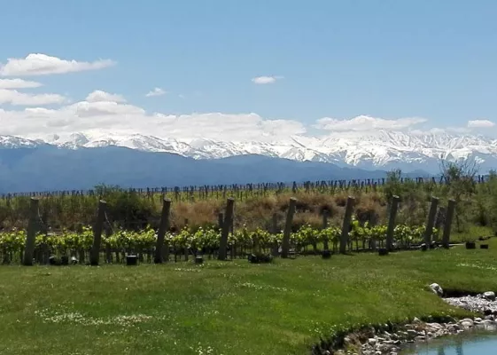 vinotwist goes Argentina Bild: vinotwist goes Argentina