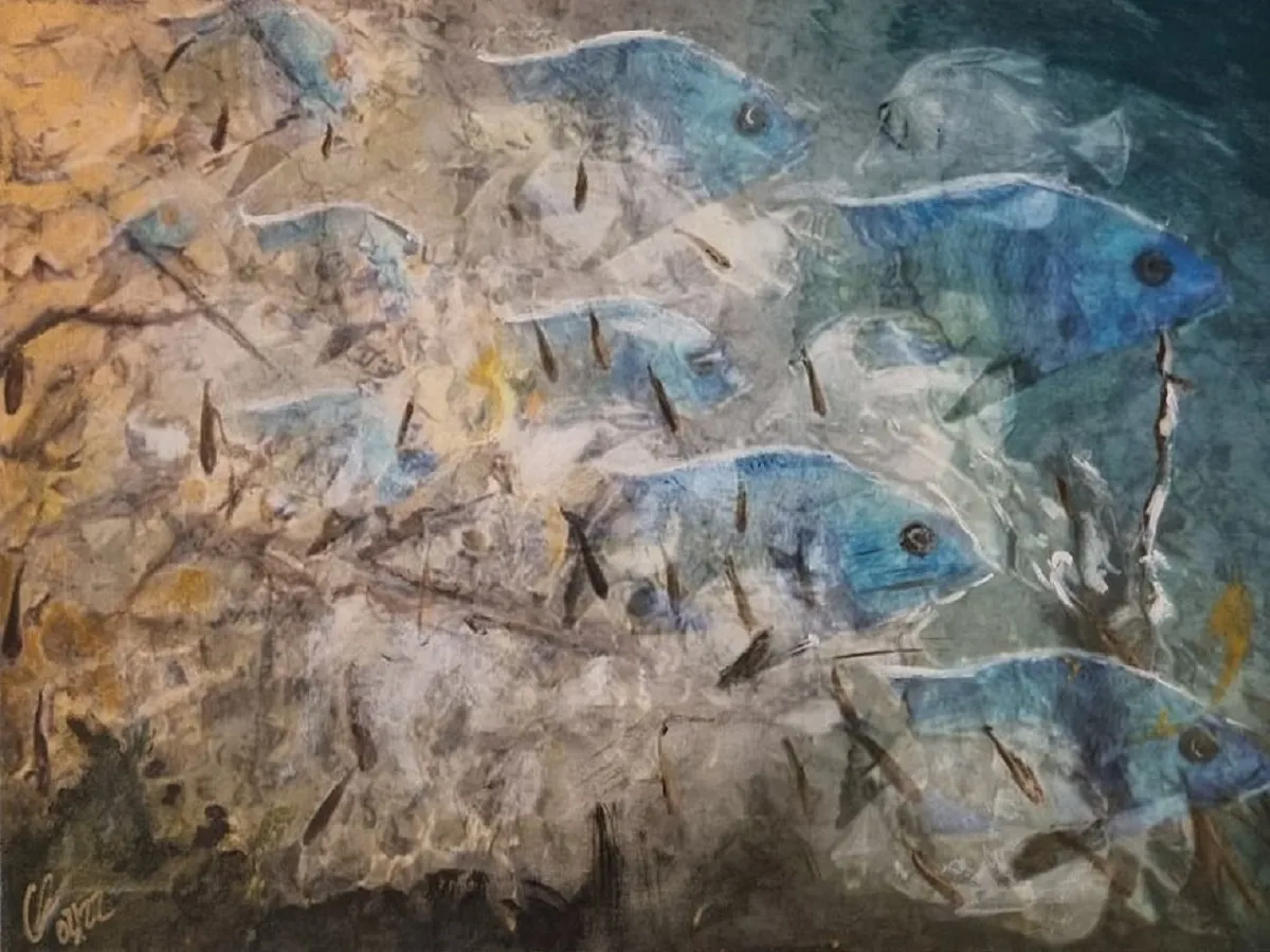 Fish in the Sea (© Claudia Haskell)