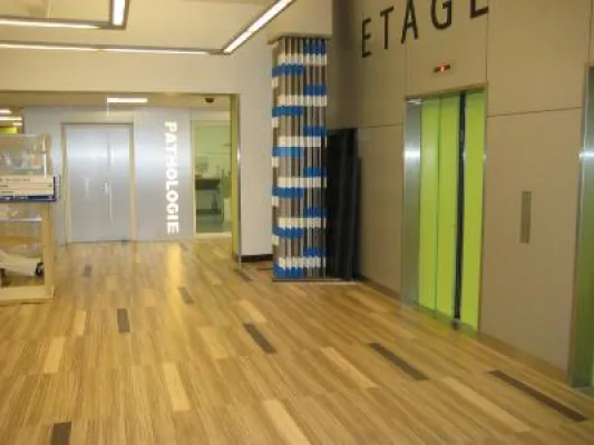 Bild: Japanischer Marktführer für Design-Bodenbeläge macht mit neuem Vertrieb in Deutschland Boden gut