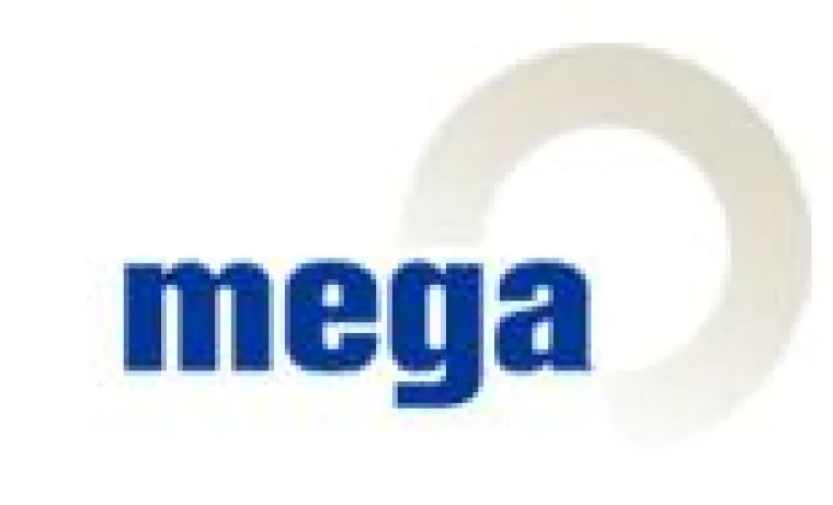 Bild: internationales Analystemteam von Yphise bestätigt MEGA-Software als führend