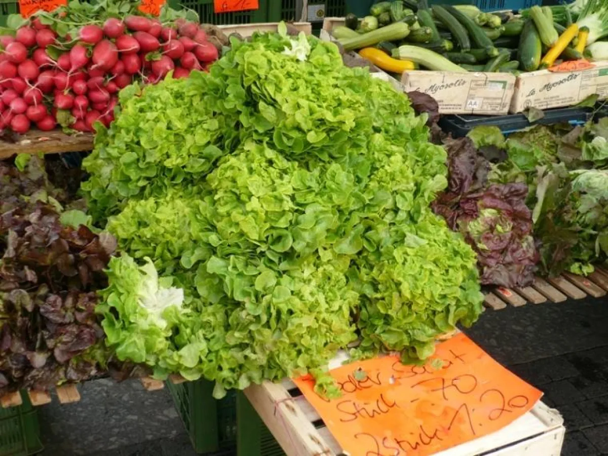 Auch frische Waren gibt es im Bio-Handel (Foto: Proplanta)