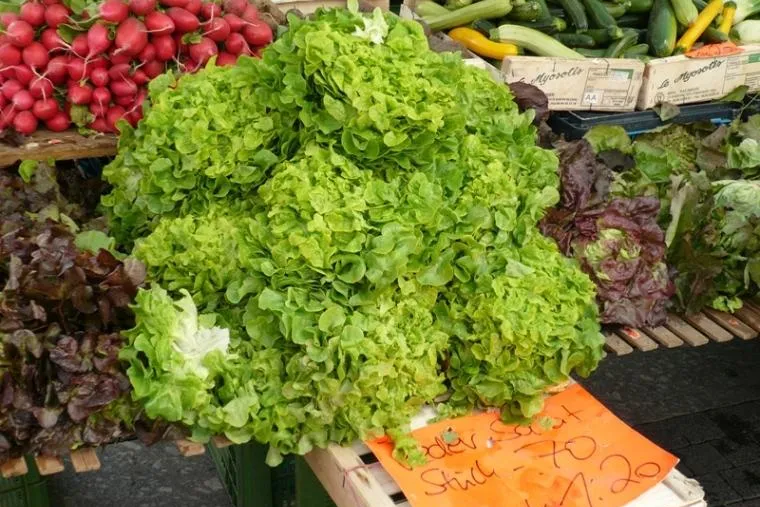 Agrifinder - Bioläden auf einen Blick Bild: Agrifinder - Bioläden auf einen Blick