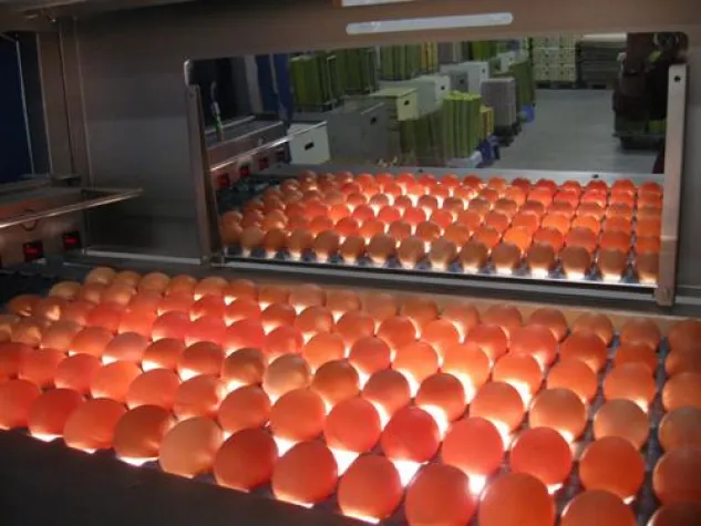 Bild: Die Biohennen AG stellt Weichen für weiteres Wachstum