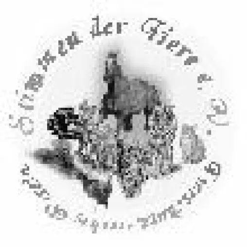 Bild: Stellungnahme zu Hund Xito und dem weiterem Verlauf