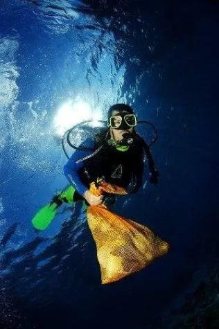 Bild: Saubere Sache – 14.  Reef Care Project auf Aruba