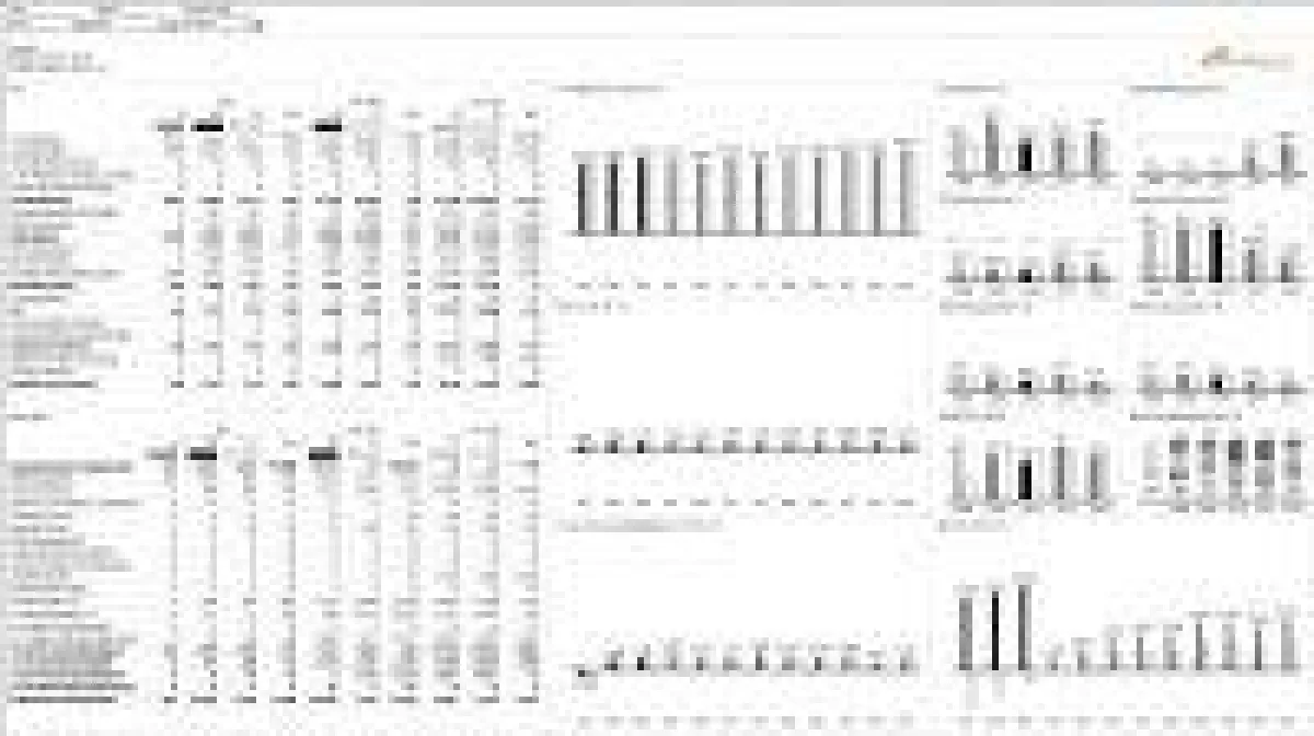 ONE PAGE ONLY mit dem Cubeware Cockpit C8