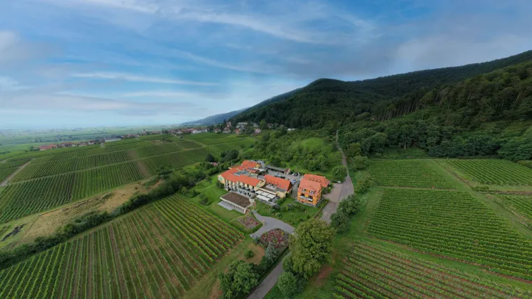 Bild: Wanderurlaub in der Pfalz: Die Alte Rebschule liegt direkt am Pfälzerwald – ideal für Wanderfreunde.