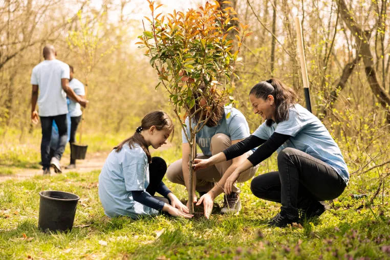 Bild: Plant-A-Tree-Program – German Energies setzt auf Nachhaltigkeit mit jedem installierten kWp