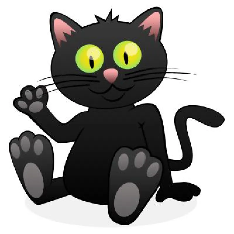 Andasa - Das Bargeldbonussystem mit der Katze
