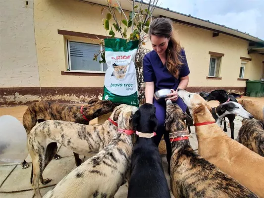 Bild: Spanische Tierschützer*innen können aufatmen: Hilfe für verstoßene Jagdhunde