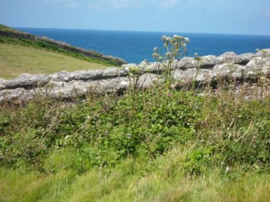Cape Cornwall