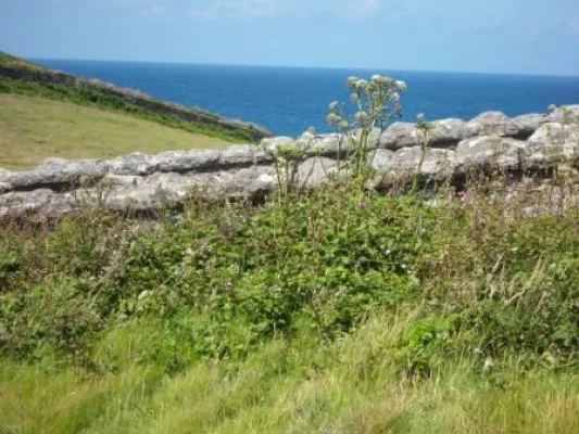 Exklusive Reisen nach Cornwall – Urlaub mit Stil und Komfort Bild: Exklusive Reisen nach Cornwall – Urlaub mit Stil und Komfort