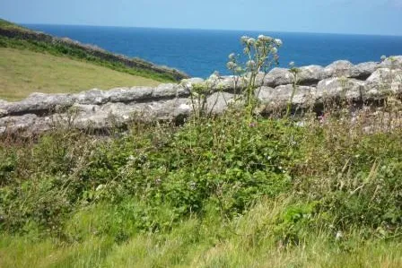 Exklusive Reisen nach Cornwall – Urlaub mit Stil und Komfort Bild: Exklusive Reisen nach Cornwall – Urlaub mit Stil und Komfort
