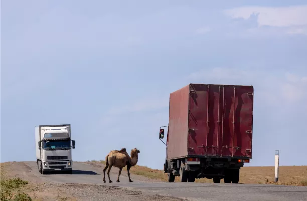 Bild: Auf der Straße in die Weite: Die besonderen Herausforderungen der LKW-Transporte in die Mongolei