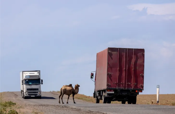 Bild: Auf der Straße in die Weite: Die besonderen Herausforderungen der LKW-Transporte in die Mongolei