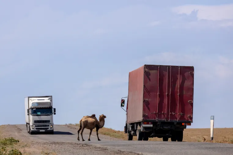 Auf der Straße in die Weite: Die besonderen Herausforderungen der LKW-Transporte in die Mongolei Bild: Auf der Straße in die Weite: Die besonderen Herausforderungen der LKW-Transporte in die Mongolei