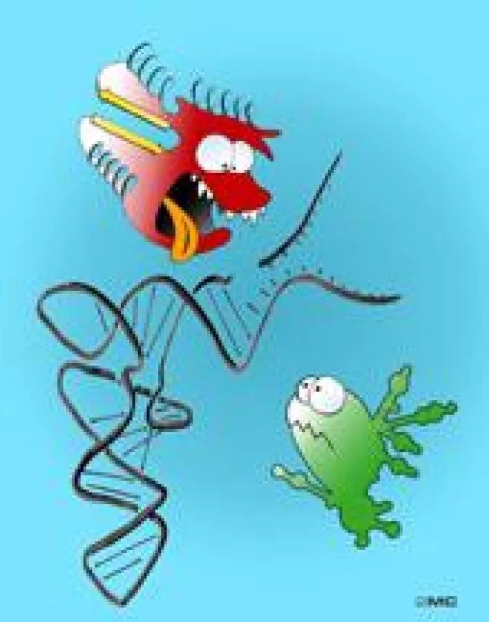 RNase P: Auf molekularer Ebene ist nicht alles so, wie es zunächst erscheint.