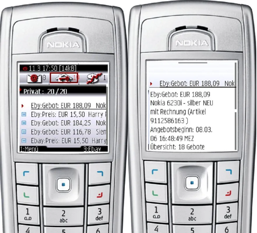 Die Abbildung zeigt den Verlauf einer Auktion, die auf einem Handy beobachtet wurde.