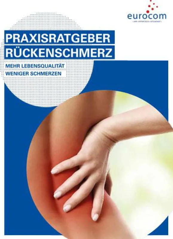 Praxisratgeber Rückenschmerz