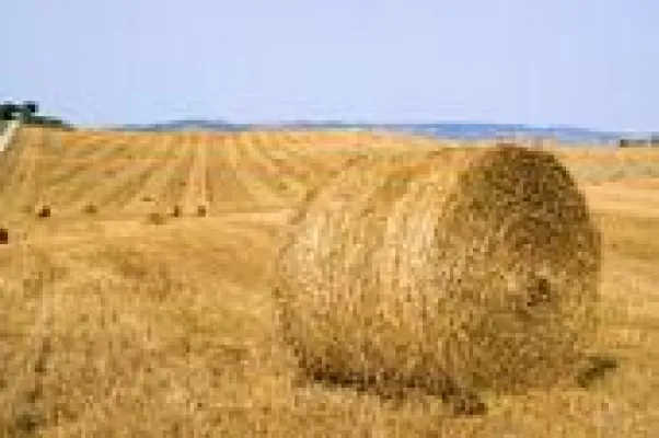 Bild: Toskana kurzfristig buchen und sparen