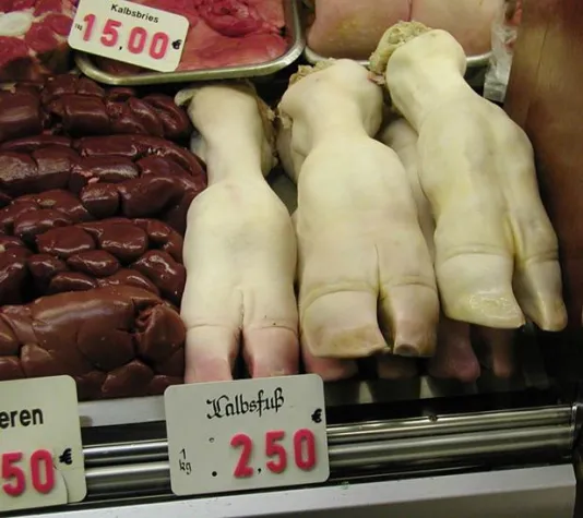 Bild: Welthunger, Klimakatastrophe, Naturzerstörung: Eine Fleischfrage