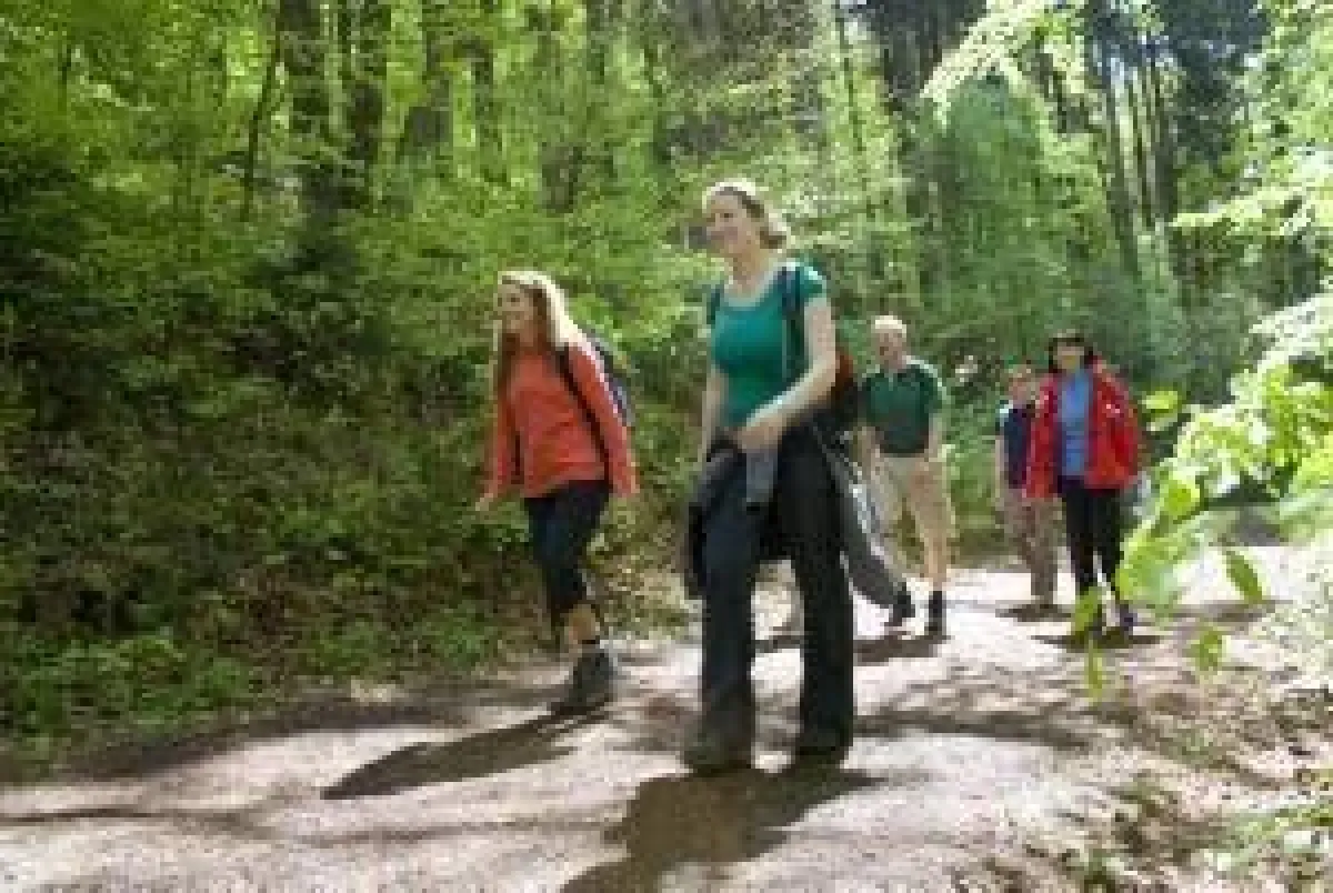 BU: Wanderer in Deutschland, Foto: Wikinger Reisen. Abdruck honorarfrei, bitte nur mit Quellenangabe. Foto senden wir gern in hoher Auflösung zu. Bitte per Mail bei der Pressestelle anfordern.