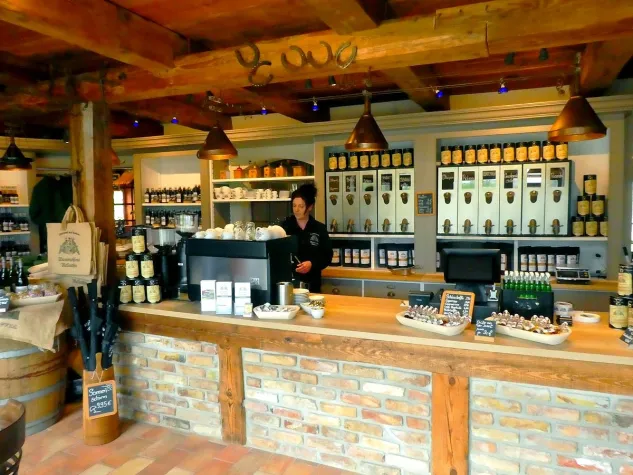 Bild: Neue Perspektiven auf Usedom entdecken