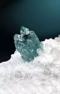 Bild: Mineralientage München - Bayerische Ur-Vögel und Archaeopteryx-Fossilien im Original - erstmals unter einem Dach