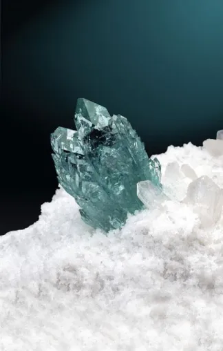 Bild: Mineralientage München - Bayerische Ur-Vögel und Archaeopteryx-Fossilien im Original - erstmals unter einem Dach