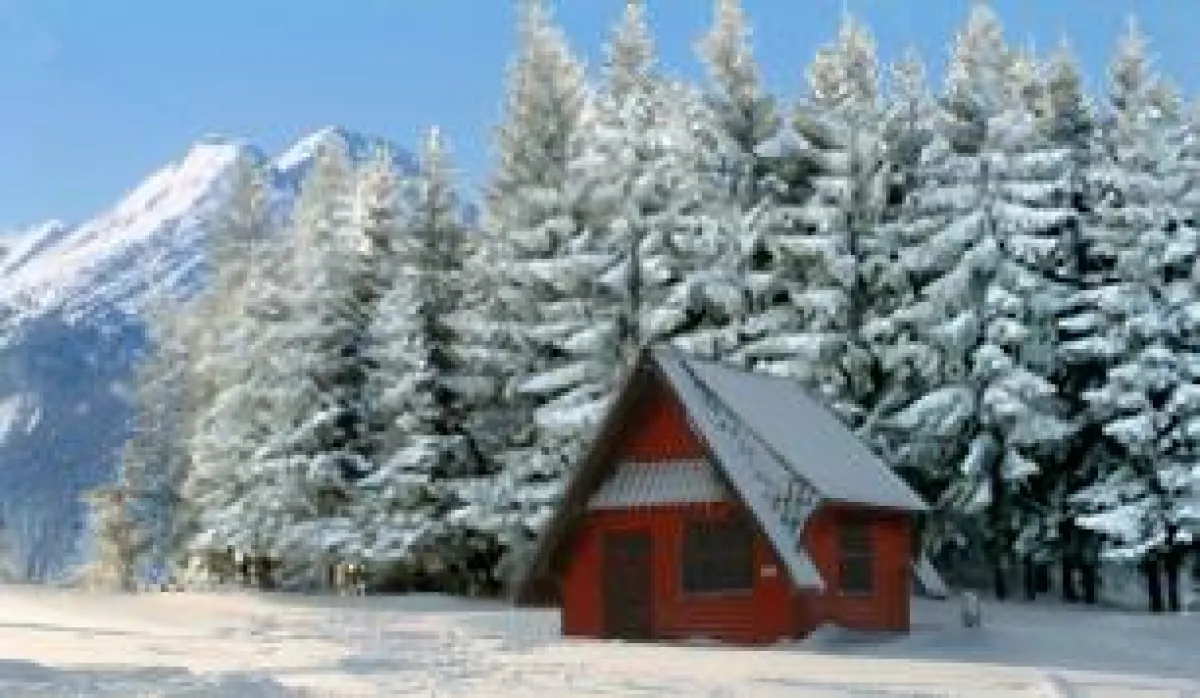 Gesunde und lustige Vorweihnachtszeit bei LIFELINE