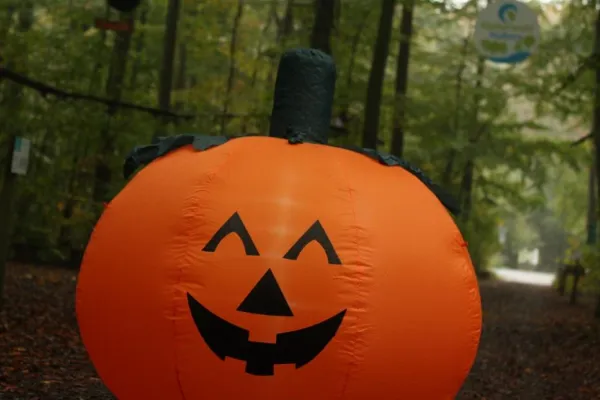 Bild: Gruseliger Saiaonabschluss im Kletterwald