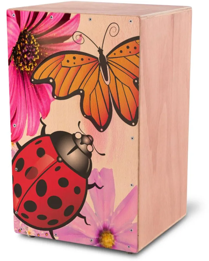 Kirstein-Cajon-Design-Wettbewerb: Gestalte Deine eigene Traumcajon!