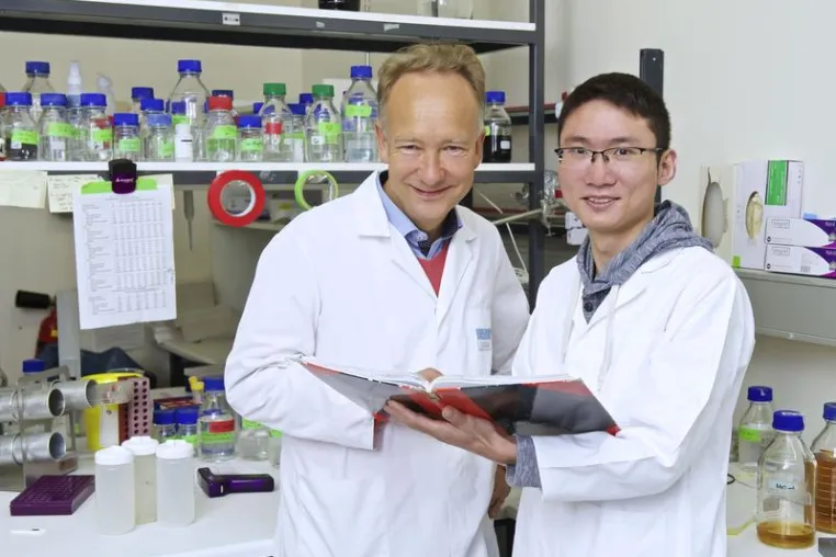 Bild: Organabstoßung langfristig verhindert