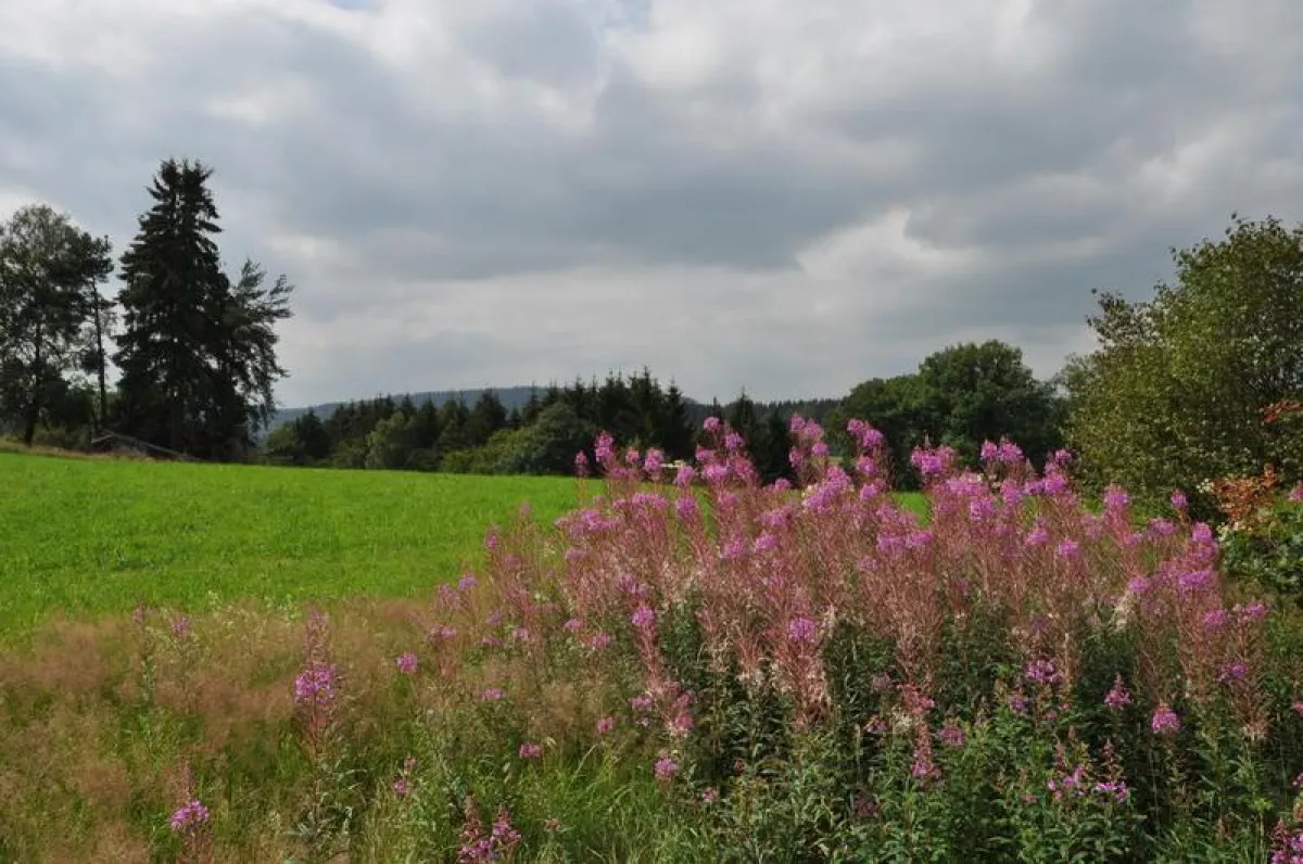 Der Elisabethpfad unterwegs im Bergischen Land