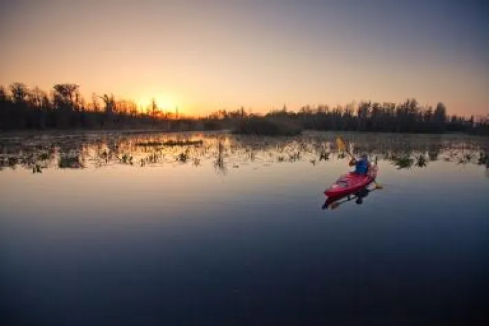 Bild: Georgia knipst das Licht aus
